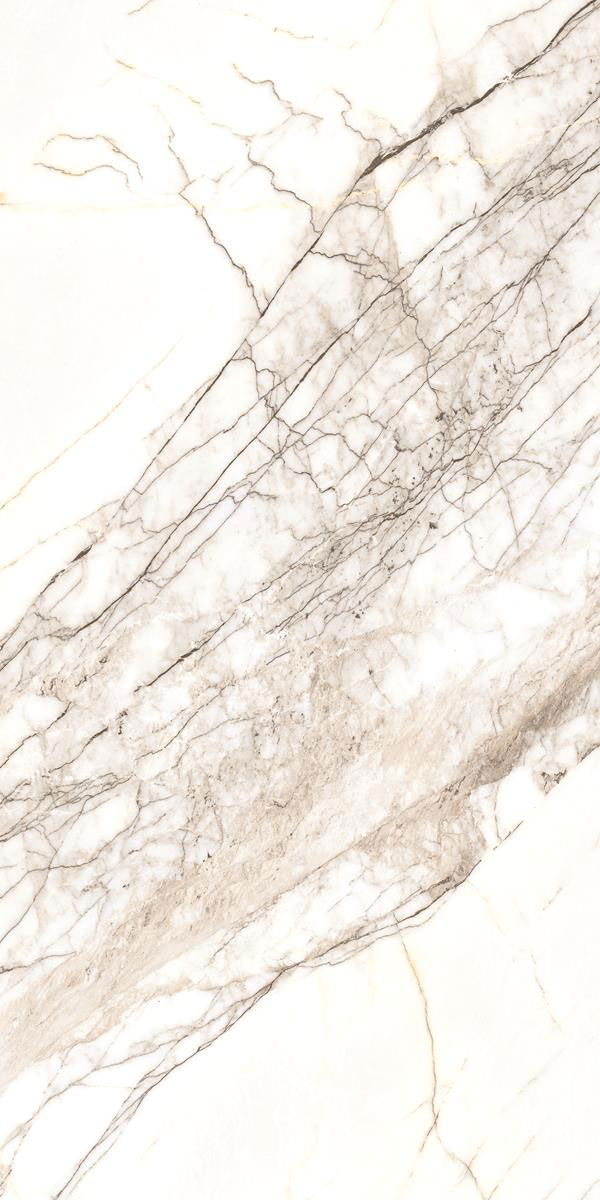 ARONA WHITE R2